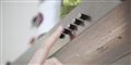 Foto: Colourbox/free