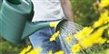 Foto: Colourbox/Free