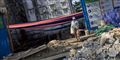 Foto: Gemunu Amarasinghe/arkivfoto/AP