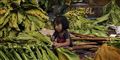 Foto: Human Rights Watch/Free