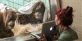 Foto: Wilhelma Stuttgart / Harald Knitter/Free