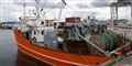 Foto: Greenpeace / Presse/Free