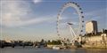 Foto: /Free
