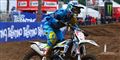 Foto: Alex Hogdkinson/Free