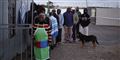 Foto: Schalk Van Zuydam/AP