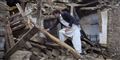 Foto: Naveed Ali/AP
