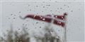 Foto: Claus Fisker/Scanpix