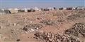 Foto: The Tribal Council Of Palmyra And Badia/amnesty Internation/Free