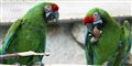 Foto: Brian Bergmann/Scanpix