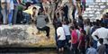 Foto: Mohamed El-shahed/AFP