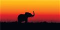 Foto: Colourbox/Free
