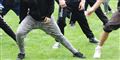 Foto: Colourbox/Free
