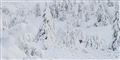 Foto: Ntb Scanpix/Reuters