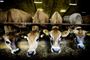 Foto: Michael Bothager/Scanpix