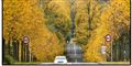 Foto: Torben Christensen/Scanpix