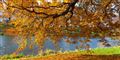 Foto: Colourbox/free