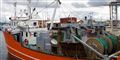 Foto: Greenpeace / Presse/Free