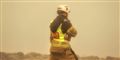 Foto: Kent Mathiesen/colourbox/Free