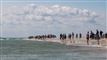 Vækst i turismen: Svenskerne er tilbage på Toppen af Danmark