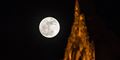Foto: Romeo Gacad/AFP
