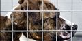 Foto: Liselotte Sabroe/Scanpix