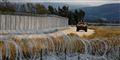 Foto: Umit Bektas/Reuters