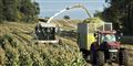 Foto: Henning Bagger/Scanpix