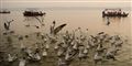 Foto: Sanjay Kanojia/AFP