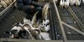 Foto: Regis Duvignau/Reuters