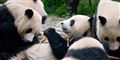 Foto: Wang Zhao/AFP