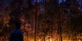 Foto: Scanpix/AFP/Andrey Smirnov