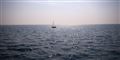 Foto: Colourbox/Free