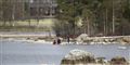 Foto: Mats Andersson/tt/Scanpix