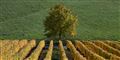 Foto: Jacky Naegelen/Scanpix