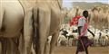 Se de barske forhold for Somalias flygtninge