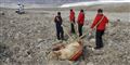 Foto: ARILD LYSSAND/POLFOTO/AP