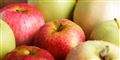 Foto: Colourbox/Free