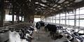 Foto: Carrie Antlfinger/ritzau/AP