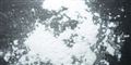 Foto: Mattman723/GNU Free Documentation License/Wikimedia 