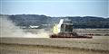 Foto: Henning Bagger/Scanpix