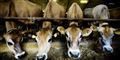 Foto: Michael Bothager/Scanpix