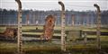 Foto: Wojtek Radwanski/AFP