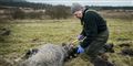 Foto: Morten Stricker/Scanpix