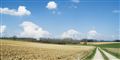 De kloge dropper provinsen
