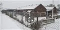 Foto: Henning Bagger/arkiv/Scanpix